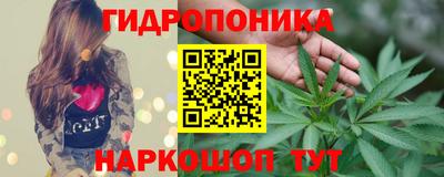прущие грибы Пушкино