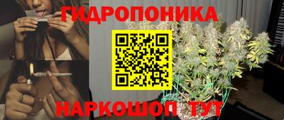 индика Первоуральск