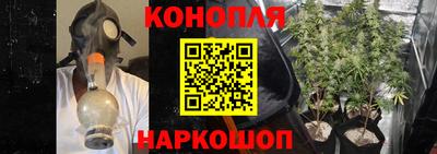 гидропоника Пенза