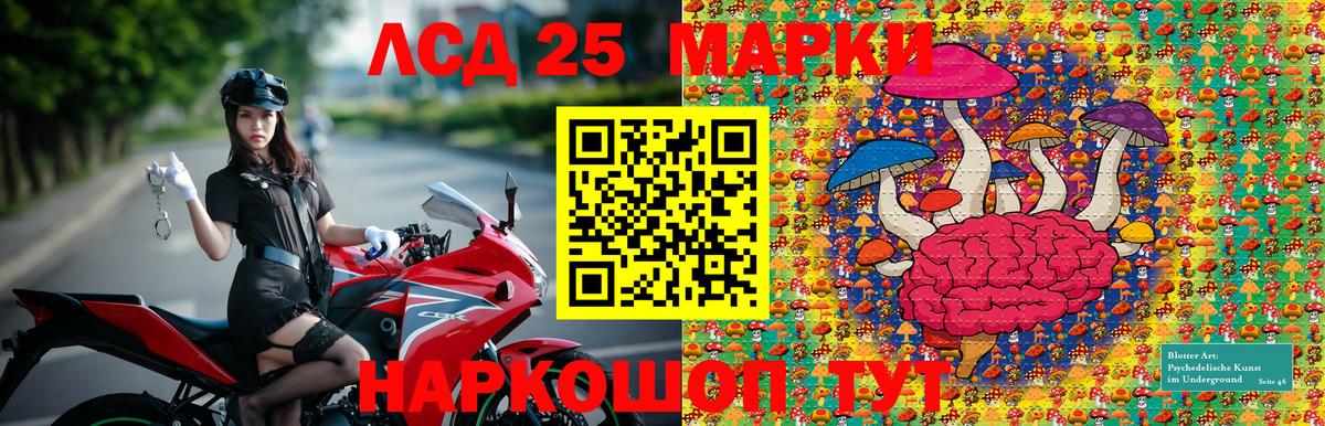 купить   Вход с VPN  Реж  Марки N-bome 1,8мг 