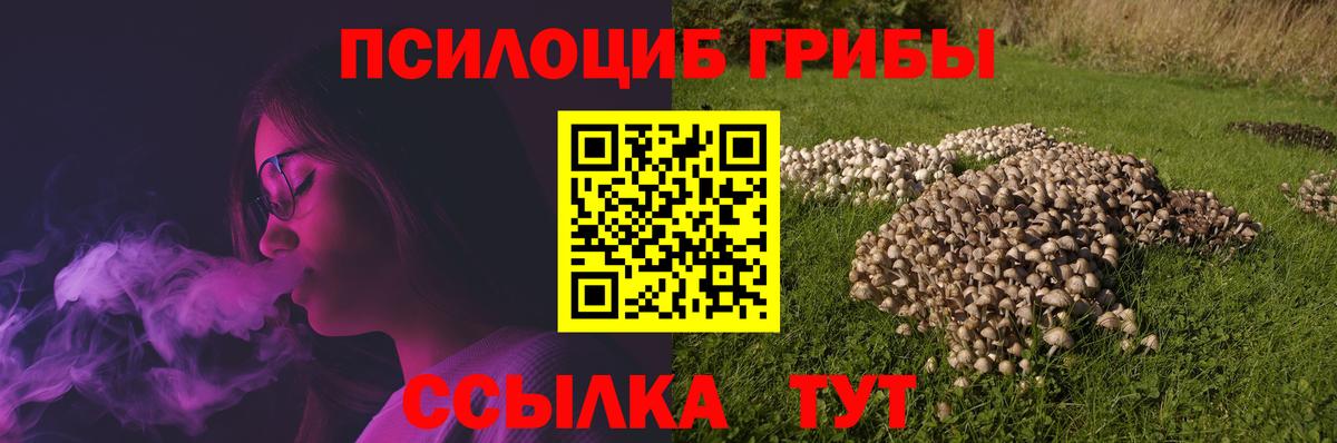 Реж  Псилоцибиновые грибы Psilocybe  Вход с VPN 