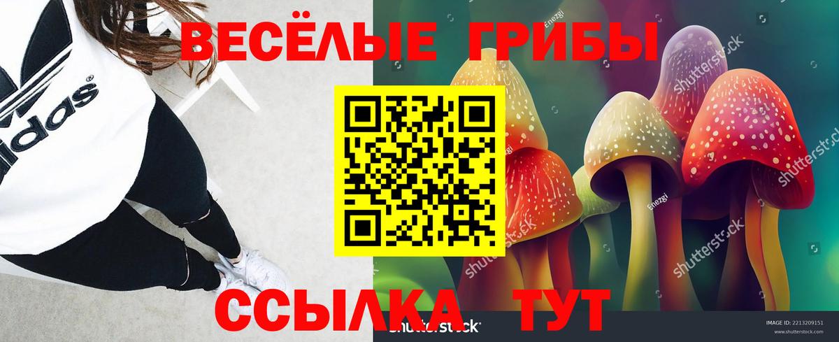 Псилоцибиновые грибы ЛСД Реж